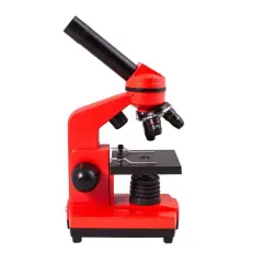 Levenhuk Rainbow 2L Orange/Апельсин