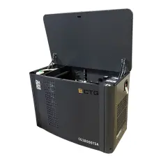 CTG CG18000TSA - газовый генератор