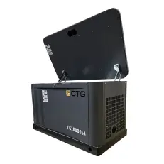 CTG CG10000SA - газовый генератор