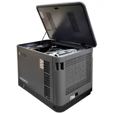 CTG CU25000TSA (газ и бензин) - гибридный генератор