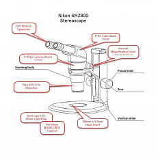 Структура микроскопа Nikon SMZ800